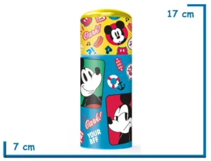 MICKEY MOUSE CUADROS BOTELLA 350 ML CHARACTER SLIPPER