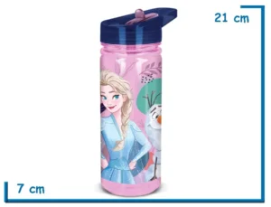 FROZEN BOTELLA 580 ML LARGE ECOZEN