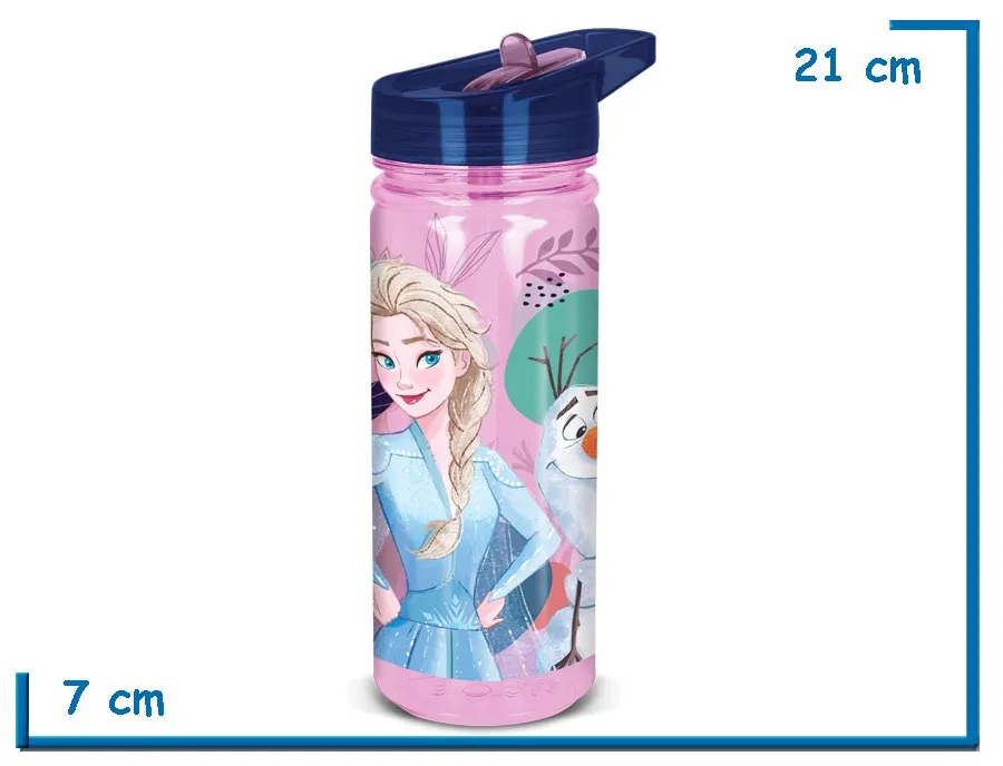 FROZEN BOTELLA 580 ML LARGE ECOZEN
