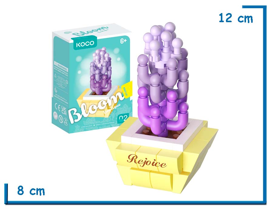 KOCO BLOOM BOUTIQUE L. SUCCULENTS SEDUM X RUBROTINCTUM. 117 PZS