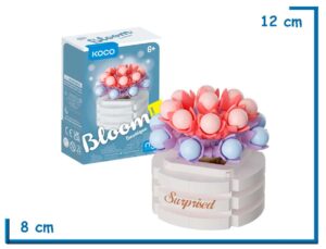 KOCO BLOOM BOUTIQUE L. SUCCULENTS GREENOVIA DODRENTALIS 157 PZS