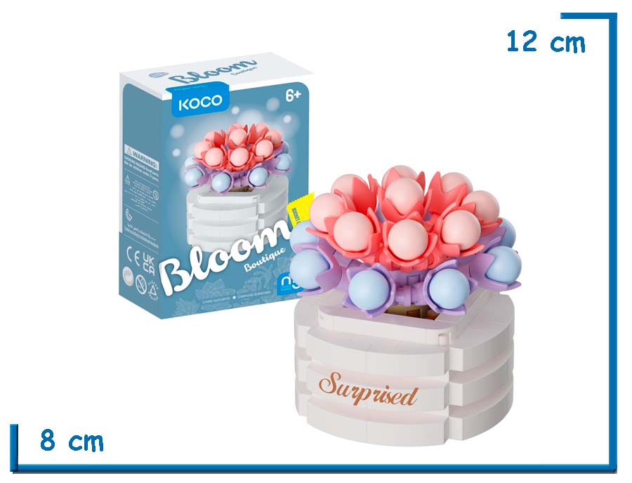 KOCO BLOOM BOUTIQUE L. SUCCULENTS GREENOVIA DODRENTALIS 157 PZS