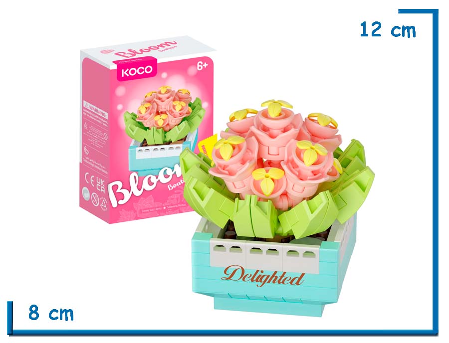 KOCO BLOOM BOUTIQUE L. SUCCULENTS SEDEVERIA MARKUS 145 PZS