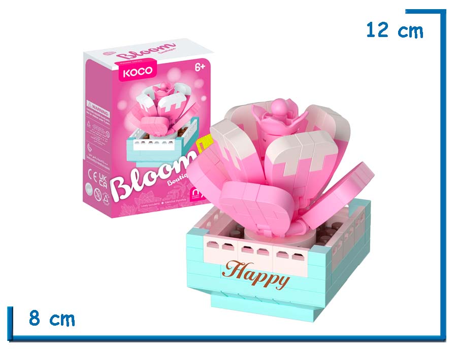 KOCO BLOOM BOUTIQUE L. SUCCULENTS KALANCHOE THYRSIFOLIA 120 PZS