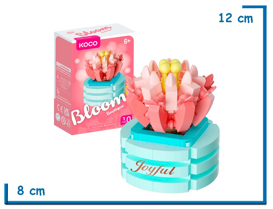 KOCO BLOOM BOUTIQUE L. SUCCULENTS ECHEVERIA LILACINA 152 PZS