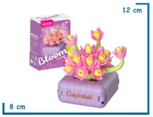 KOCO BLOOM BOUTIQUE L. SUCCULENTS PHEDIMUS SPURIUS 134 PZS