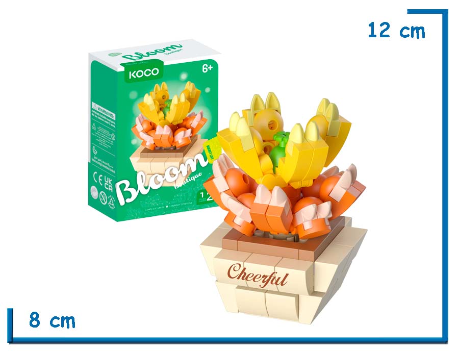 KOCO BLOOM BOUTIQUE L. SUCCULENTS COTYLEDON TOMENTOSA 140 PZS