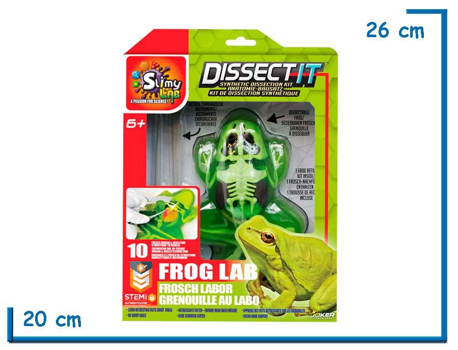 SLIMY LAB DISSECT IT FROG LAB RANA PARA DISECAR