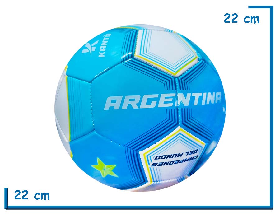 PELOTA DE CUERO N§5 CELESTE Y BLANCA SELECCION ARGENTINA