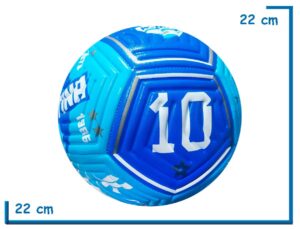 PELOTA DE CUERO N§5 REFORZADA AZUL Y CELESTE SELECCION ARGENTINA