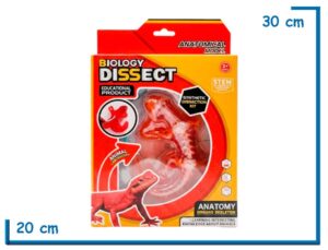 BIOLOGY DISSECT LAGARTO MODELO PARA DISECCION ANATOMICA